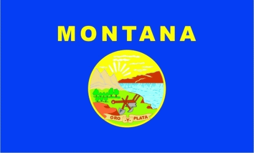 Montana Flagge 90x150 cm