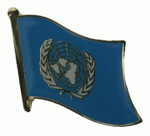 UNO Vereinte Nationen Pin