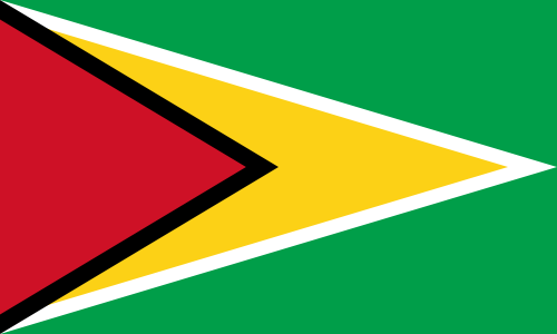 Guyana Flagge 90x150 cm