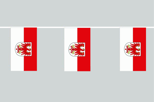 Brandenburg Landesdienst Flaggenkette 6 Meter / 8 Flaggen 30x40 cm