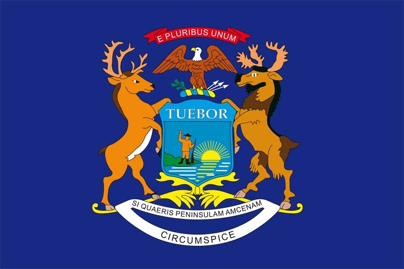 Michigan Flagge 90x150 cm