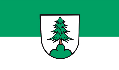 Adelmannsfelden Gemeinde Flagge 90x150 cm (DE)