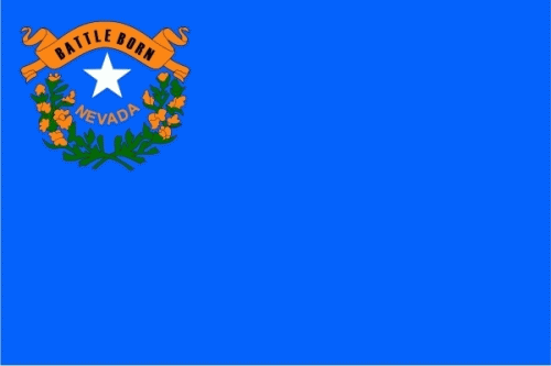 Nevada Flagge 90x150 cm