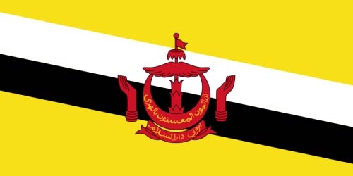 Brunei Bootsflagge 30x45 cm