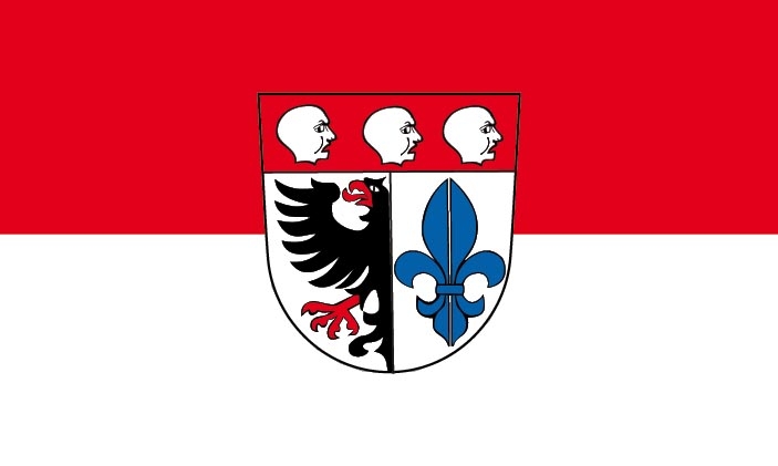 Wangen im Allgäu Flagge 90x150 cm (DE)