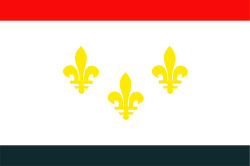 New Orleans Flagge 90x150 cm (KSE)