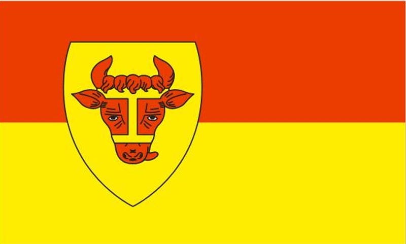 Coesfeld Stadt Flagge 90x150 cm Premiumqualität