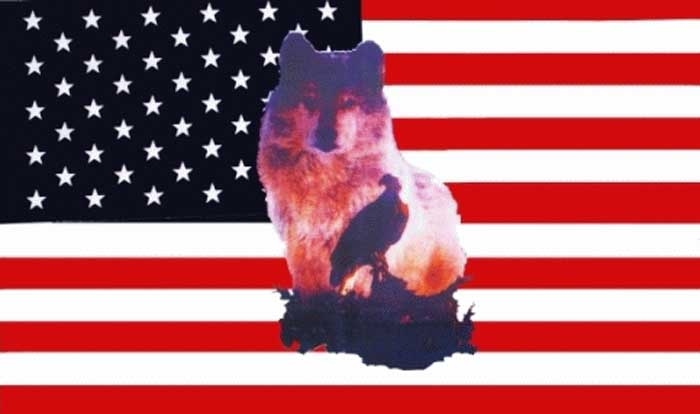 USA Wolf mit Adler Flagge 90x150 cm Abverkauf