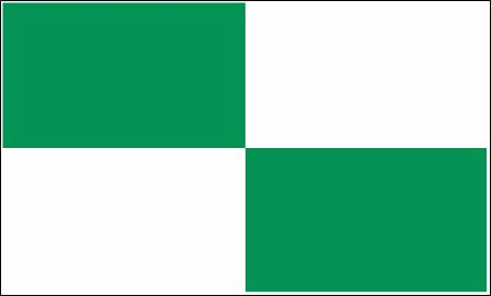 4 Karos grün - weiß Flagge 90x150 cm
