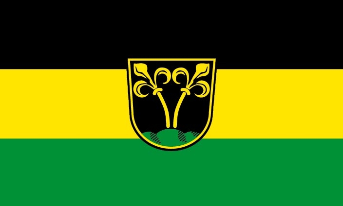 Traunstein Flagge 90x150 cm (DE)