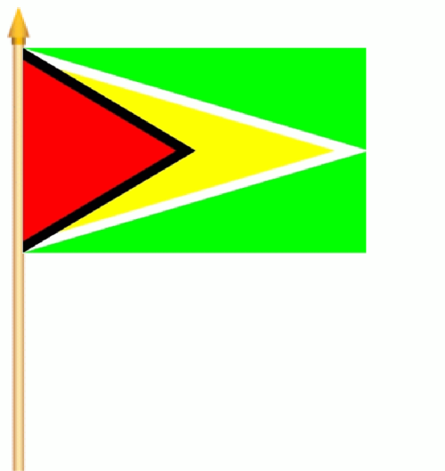 Guyana Stockflagge 30x45 cm