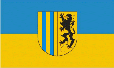 Chemnitz Stadt Flagge 90x150 cm (E)