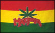 Marihuana Canabis Flagge 90x150 cm