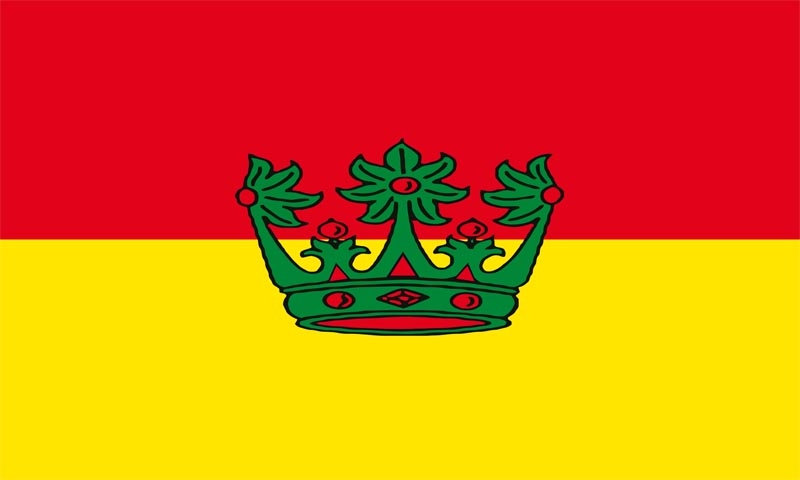 Rodenbach im Taunus Flagge 90x150 cm (DE)