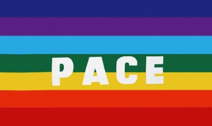 Pace Regenbogen Flagge 90x150 cm