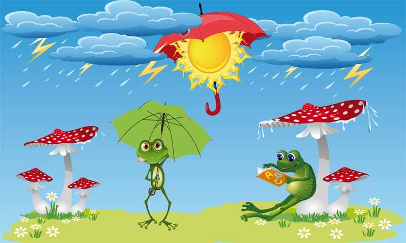 Wetter Frosch mit Schirm 90x150 cm (EHD)