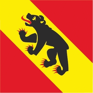 Bern Flagge 120x120 cm