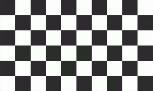Ziel Karo schwarz - weiß Flagge 90x150 cm