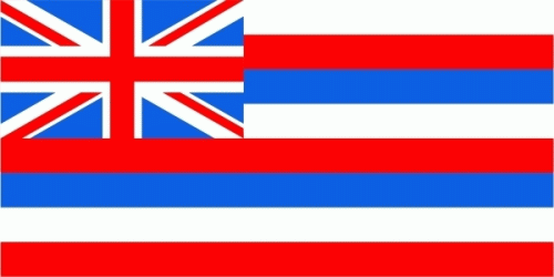 Hawaii Flagge 90x150 cm