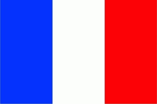 Frankreich Flagge 3x5 Meter (L)