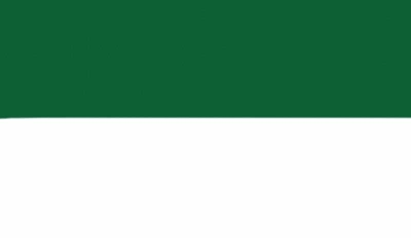 Schützenfest grün-weiß Flagge 150x250 cm