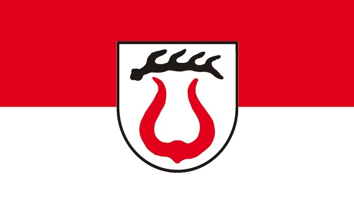 Sachsenheim Flagge 90x150 cm (DE)