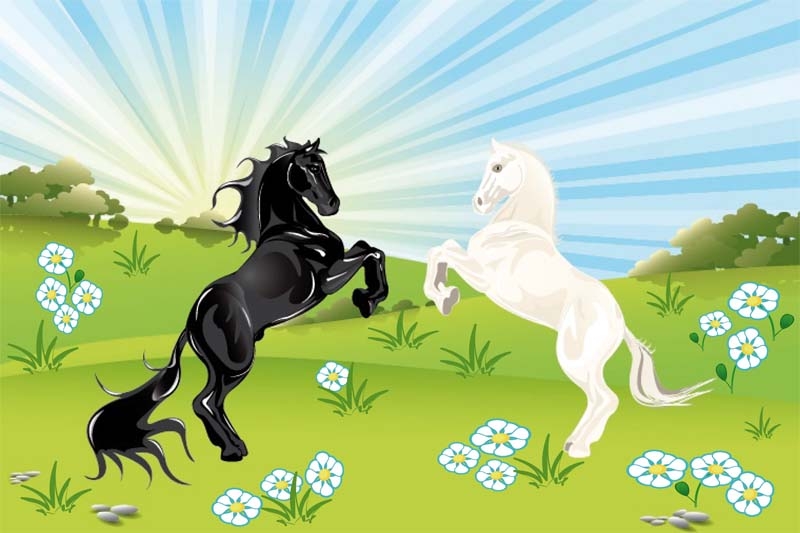Tiere 2 Pferde schwarz und weiß Flagge 60x90 cm Premium Querformat