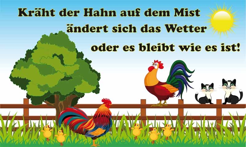 Kräht der Hahn auf dem Mist Flagge 90x150 cm (EHD)