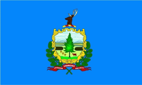Vermont Flagge 90x150 cm