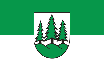 Braunlage Flagge 90x150 cm Premiumqualität