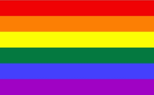 Regenbogen Flagge 150x250 cm