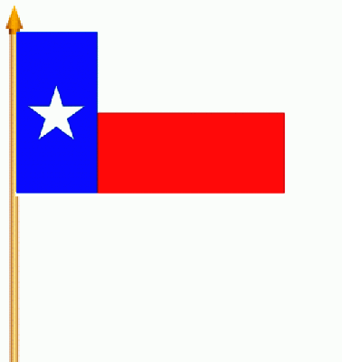 Texas Stockflagge 30x45 cm