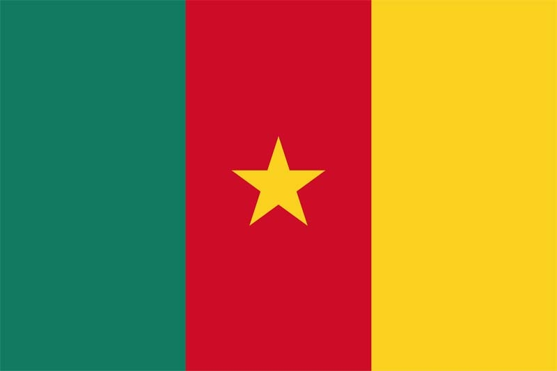 Kamerun Flagge 90x150 cm