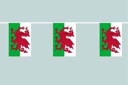 Wales Flaggenkette 6 Meter / 8 Flaggen 30x40 cm