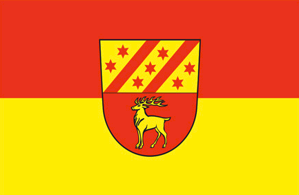 Bingen BW Gemeinde Flagge 90x150 cm (DE)