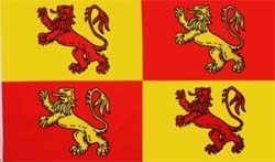 Owain Glyndwr Flagge 90x150 cm