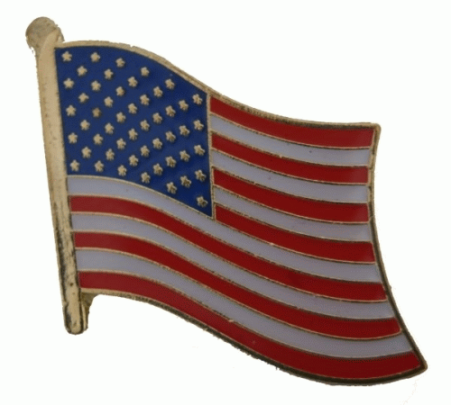 USA Pin