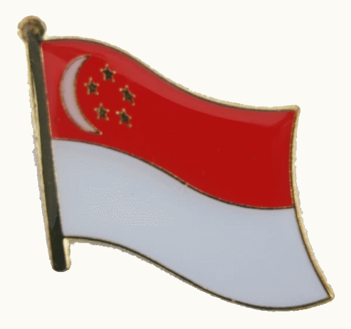 Singapur Pin