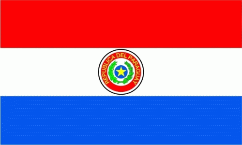 Paraguay Hohlsaum/Tunnel Flagge 60x90 cm