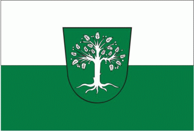 Bocholt Stadt Flagge 90x150 cm (E)