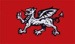 England weißer Drache Flagge 90x150 cm