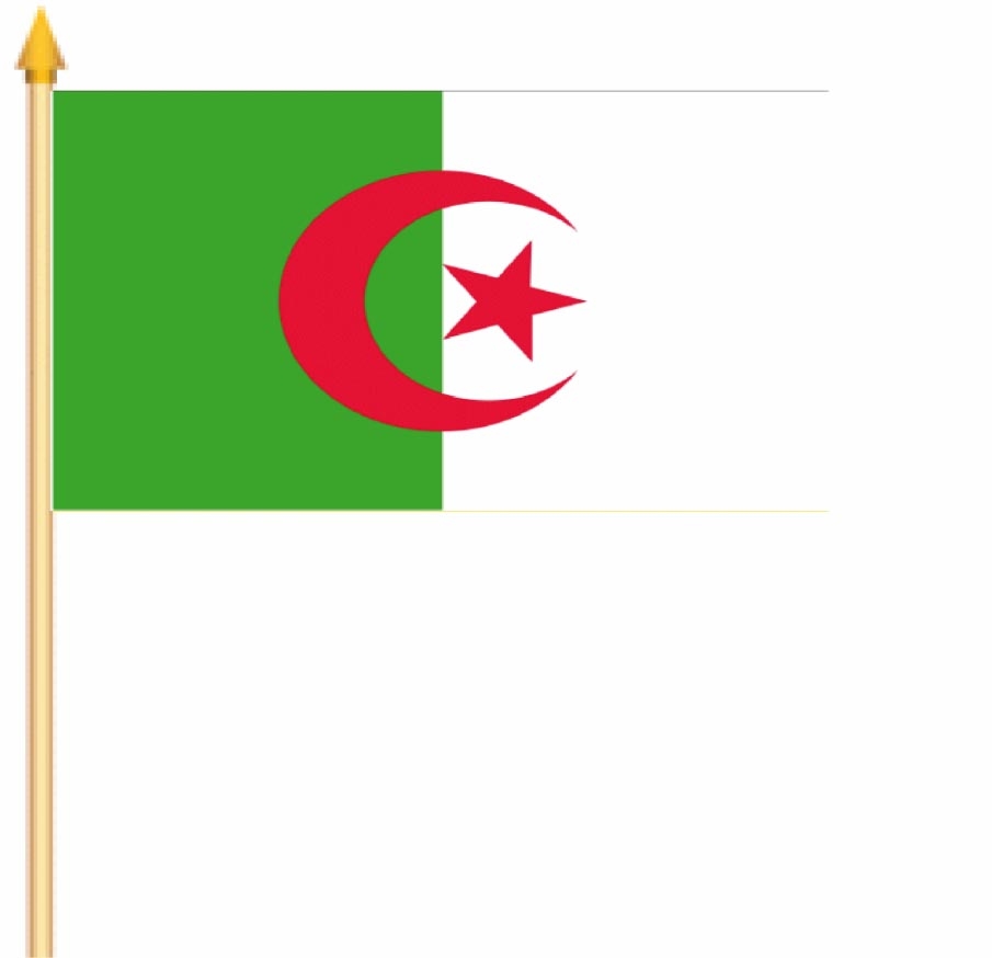 Algerien Stockflagge 30x45 cm