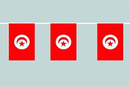 Tunesien Flaggenkette 6 Meter / 8 Flaggen 30x45 cm