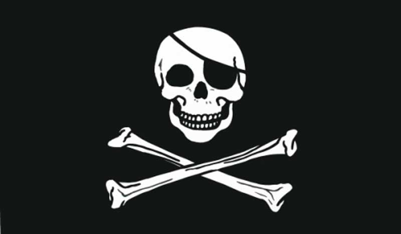 Pirat Skull & Bones Hohlsaum/Tunnel Flagge 60x90 cm