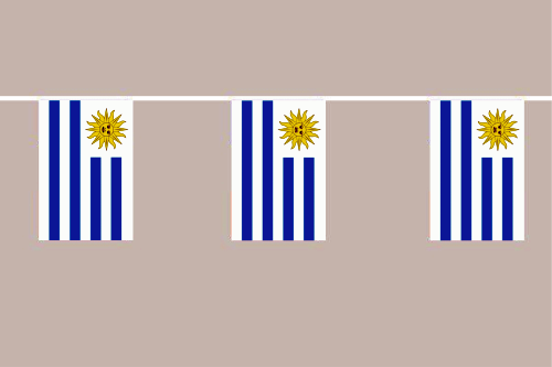 Uruguay Flaggenkette 6 Meter / 8 Flaggen 30x40 cm
