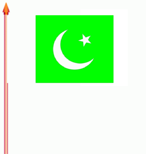 Pakistan Stockflagge 30x45 cm
