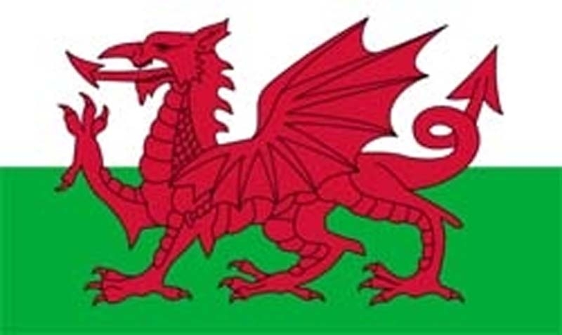 Wales Aufkleber 8 x 5 cm