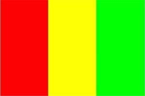 Guinea Bootsflagge 30x45 cm