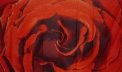 Rose Blume Flagge 90x150 cm