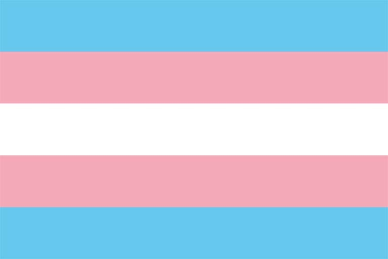 Regenbogen Transgender Pride Flagge 90x150 cm